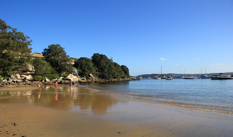 Collins Flat Beach, Sydney Harbour National Park. Photo: Natasha Webb/OEH