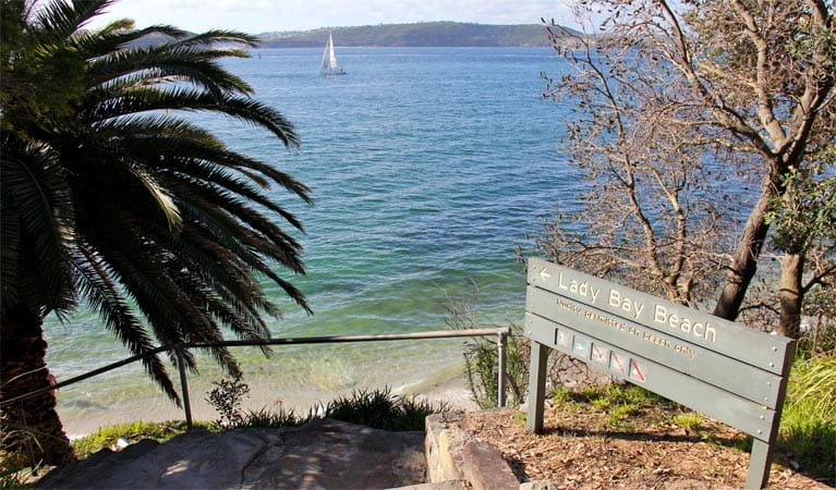 Lady Bay Beach, Sydney Harbour National Park. Photo: John Yurasek/NSW Government