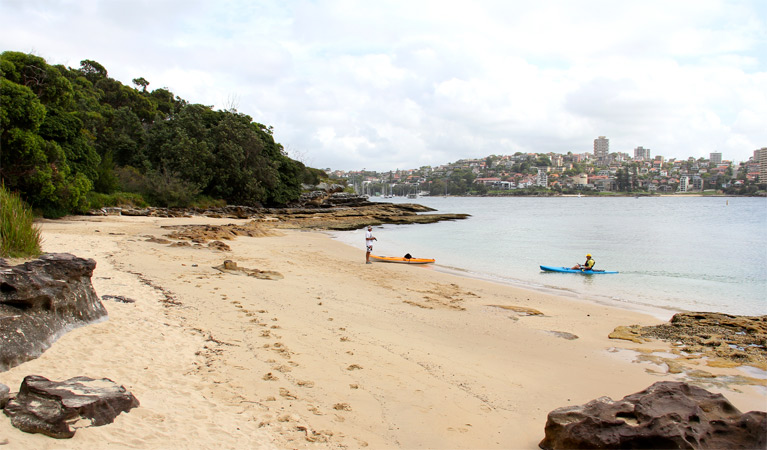 Reef Beach, Sydney Harbour National Park. Photo: John Yurasek/NSW Government