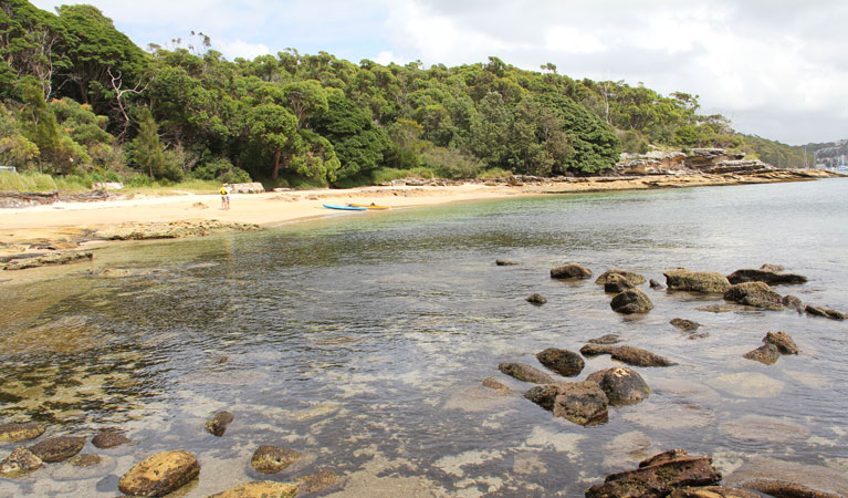 Reef Beach, Sydney Harbour National Park. Photo: John Yurasek/NSW Government