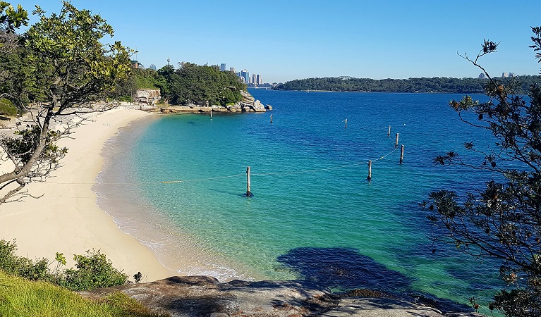 View of Shark Beach from Shakespeares Point in Sydney Harbour National Park. Photo: Amanda Cutlack/OEH