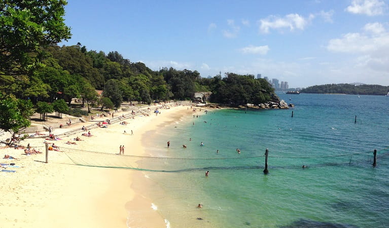 Swimmers on Shark Beach as seen from Shakespeares Point in Sydney Harbour National Park. Photo: Elinor Sheargold/OEH