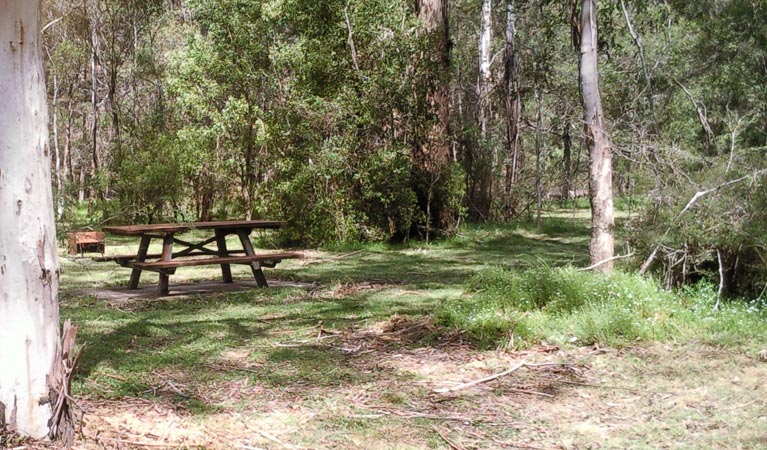 Mullon Creek campground, Tallaganda National Park. Photo: S Jackson/NSW Government