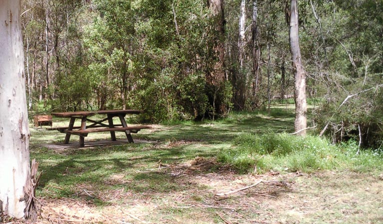 Mullon Creek campground, Tallaganda National Park. Photo: S Jackson/NSW Government