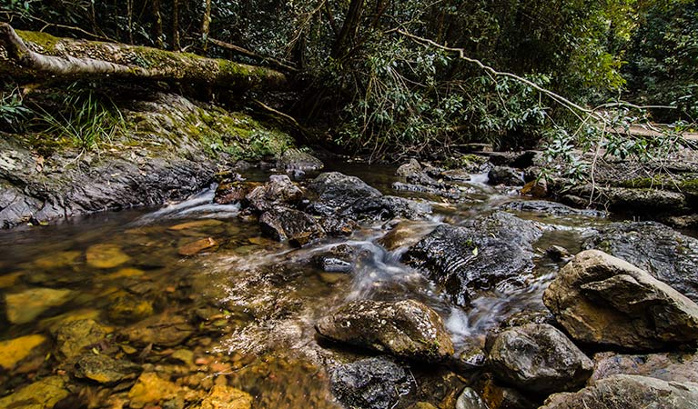 Potoroo Falls picnic area, Tapin Tops National Park. Photo: John Spencer/OEH