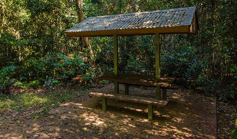 Potoroo Falls picnic area, Tapin Tops National Park. Photo: John Spencer/OEH