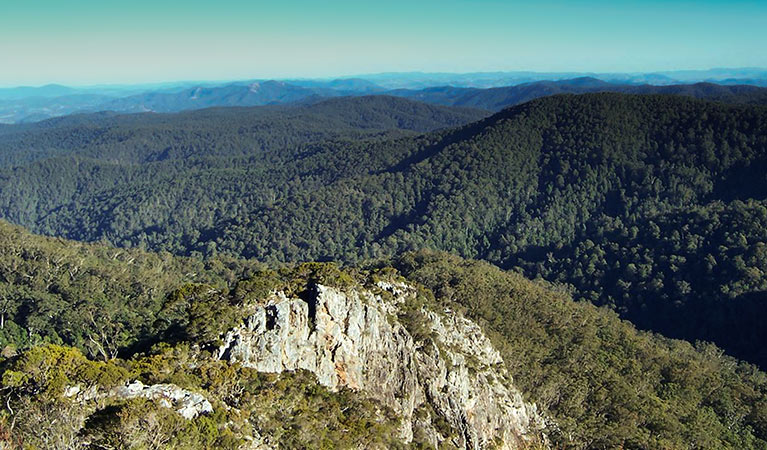 Rowleys Rock lookout, Tapin Tops National Park. Photo: Kevin Carter/NSW Government