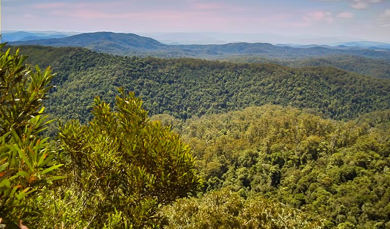 Rowleys Rock lookout, Tapin Tops National Park. Photo: Kevin Carter/NSW Government