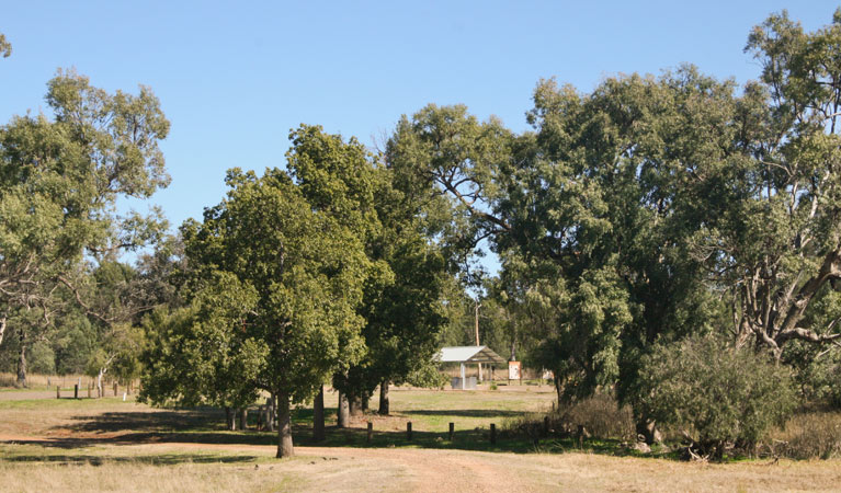 Terry Hie Hie Aboriginal Area. Photo: Matthew Bester