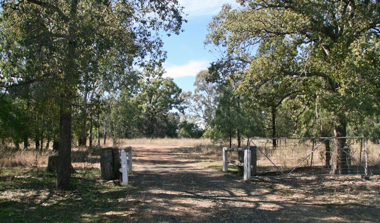 Terry Hie Hie Aboriginal Area. Photo: Matthew Bester