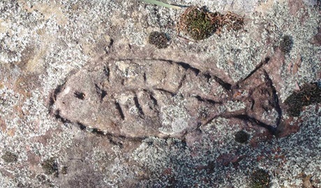 Long-term use of Terry Hie Hie Aboriginal Area is evident with at least 240 axe-grinding grooves and the remains of a corroboree ground which can be found in the area. Credit: Matthew Bester