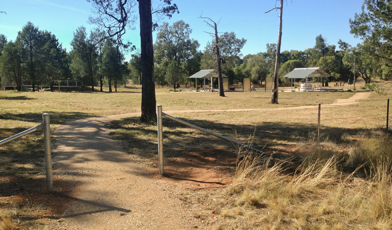 Yana-y Warruwi walking track, Terry Hie Hie Aboriginal Area. Photo: Matthew Bester