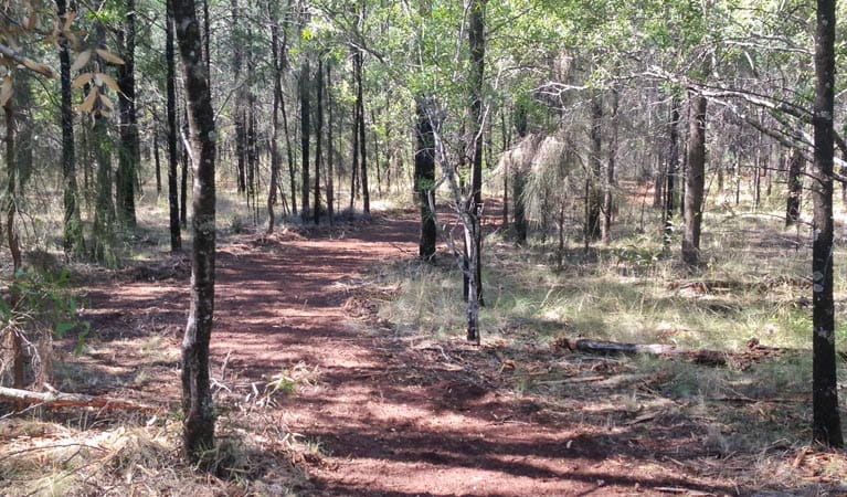 Yana-y Warruwi walking track, Terry Hie Hie Aboriginal Area. Photo: Matthew Bester