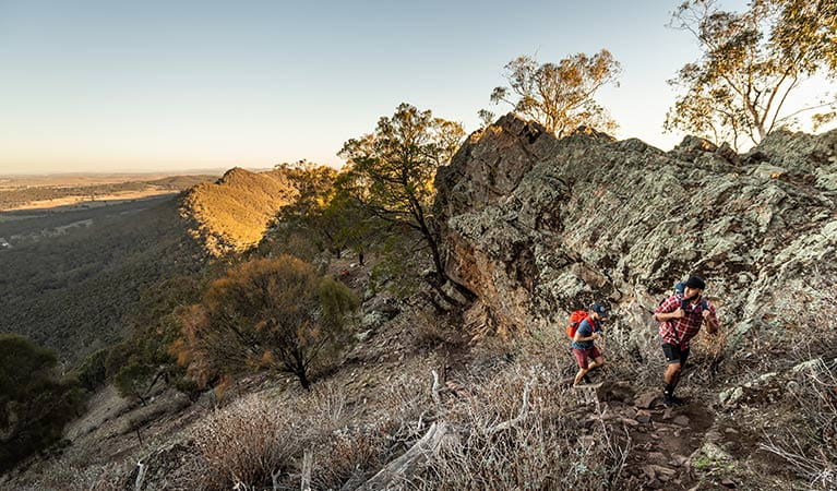Two men hike uphill along Yerong walking track in The Rock Nature Reserve - Kengal Aboriginal Place. Photo: Robert Mulally/DPIE