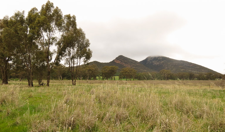 The Rock Nature Reserve - Kengal Aboriginal Place. Photo: C Killick