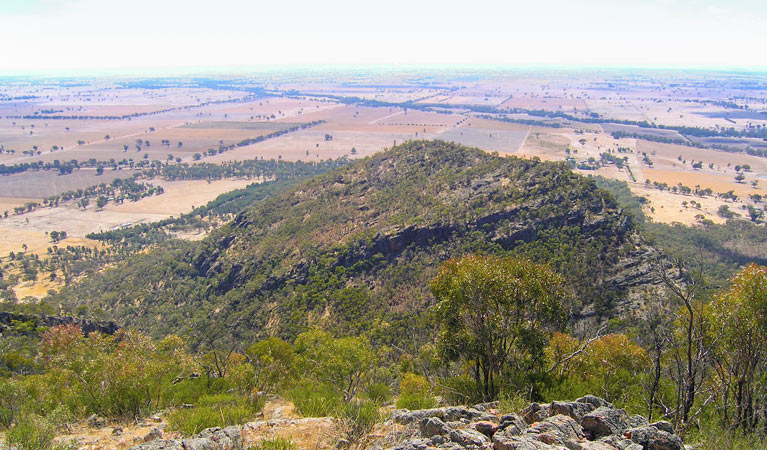 The Rock Nature Reserve - Kengal Aboriginal Place. Photo: C Killick