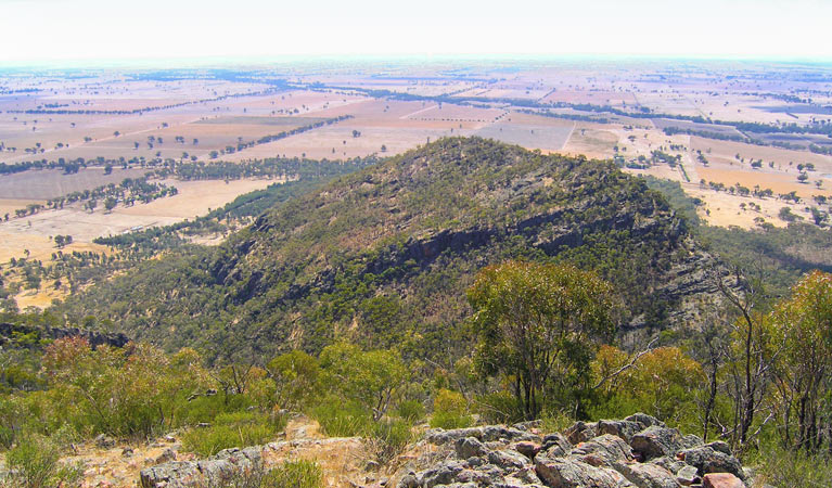 The Rock lookout, The Rock Nature Reserve. Photo: Colin Killick