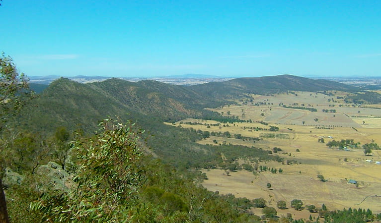 The Rock lookout, The Rock Nature Reserve. Photo: Colin Killick