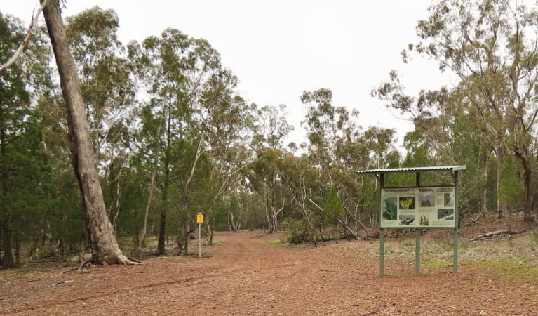 The Rock picnic area, The Rock Nature Reserve - Kengal Aboriginal Place. Photo: C Killick