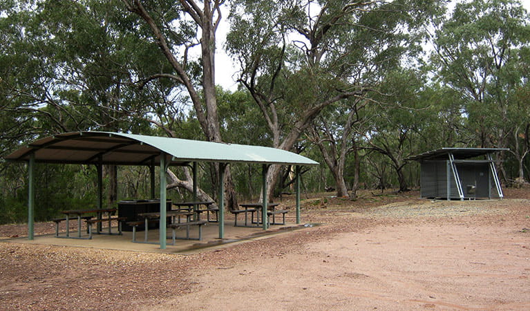 The Rock picnic area, The Rock Nature Reserve - Kengal Aboriginal Place. Photo: Amanda Lavender