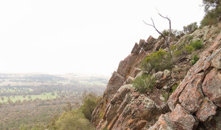 The Towers, The Rock Nature Reserve. Photo: A Lavender