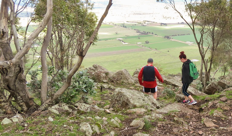 Yerong walking track, The Rock Nature Reserve - Kengal Aboriginal Place. Photo: A Lavender