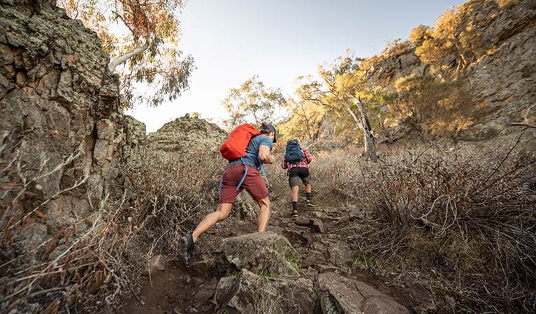 Two men hike up the rocky Yerong walking track in The Rock Nature Reserve - Kengal Aboriginal Place. Photo: Robert Mulally/DPIE