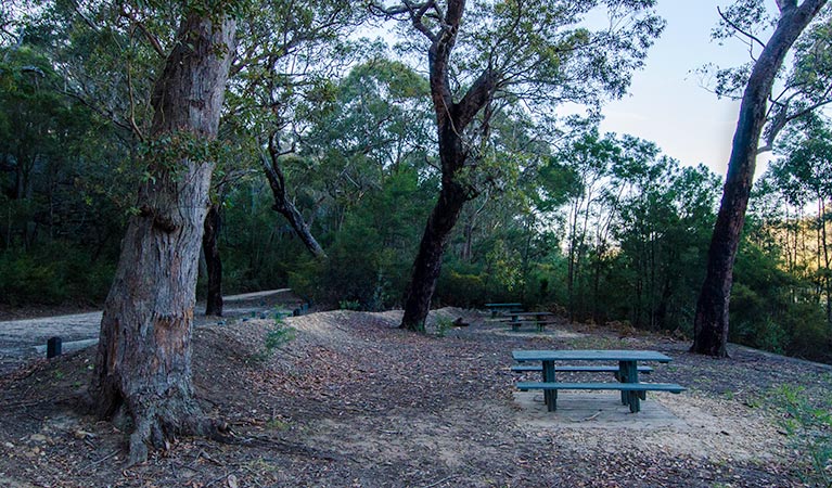 Werri Berri picnic area bench, Thirlmere Lakes National Park. Photo: John Spencer