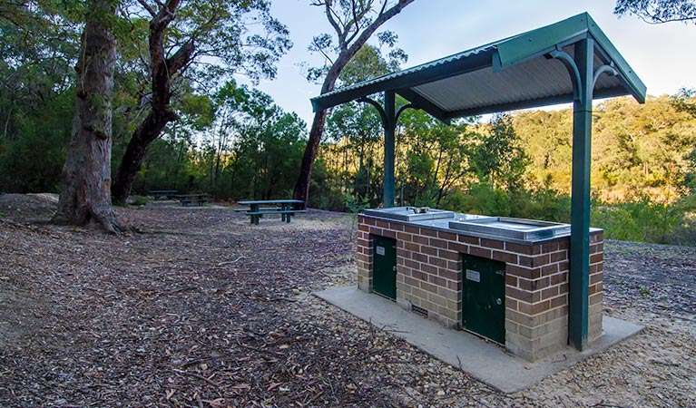 Werri Berri picnic area barbecue, Thirlmere Lakes National Park. Photo: John Spencer
