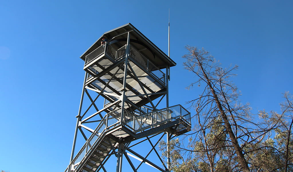 View of Pilliga Forest lookout tower from below. Photo &copy; Jessica Stokes