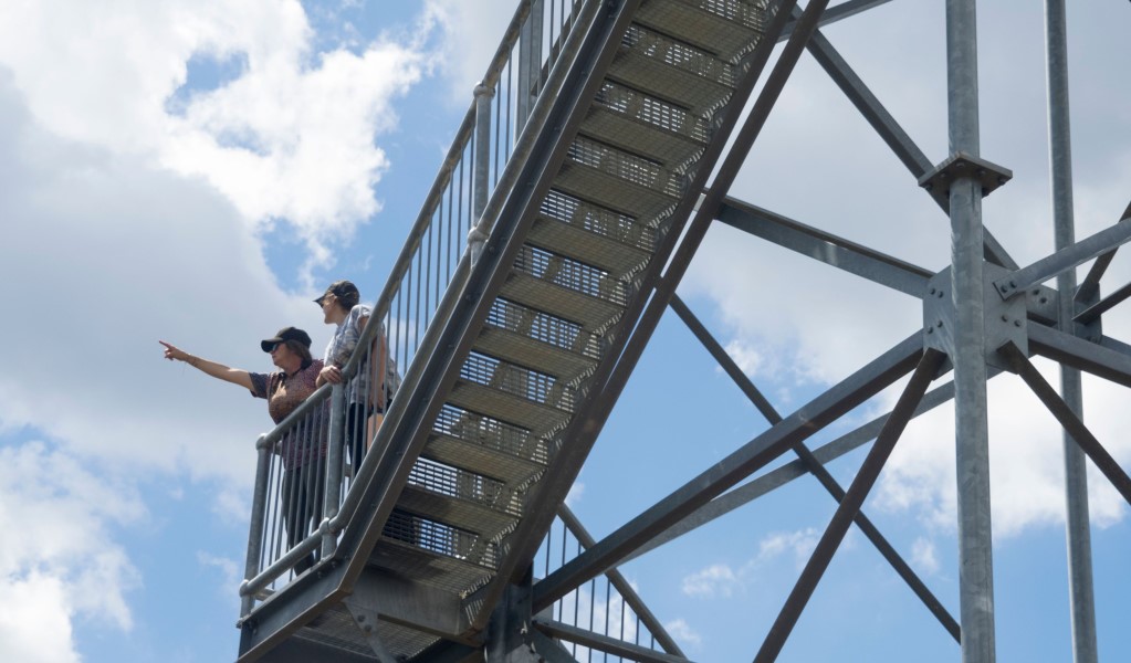 Two people on the stairs leading to the top of Pilliga Forest lookout tower. Photo: Leah Pippos &copy; DCCEEW