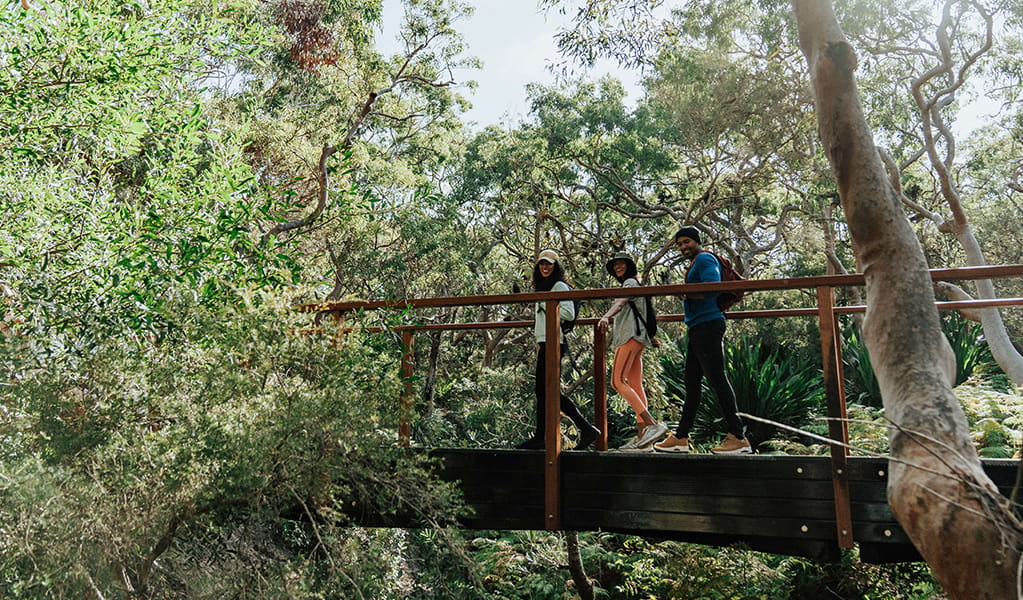 Walkers cross a small bridge over a gully surrounded by angophora forest near Fishermans Bay. Credit: Remy Brand &copy; Remy Brand