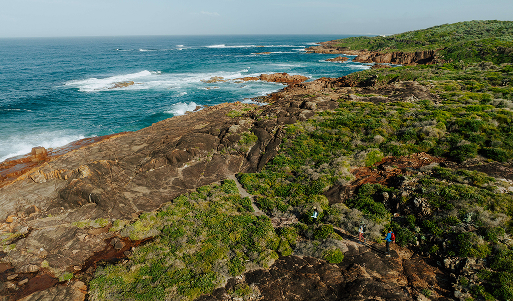 Aerial photo of a rocky bay and the Tomaree Coastal Walk track weaving around the shore. Credit: Daniel Parsons &copy; Daniel Parsons