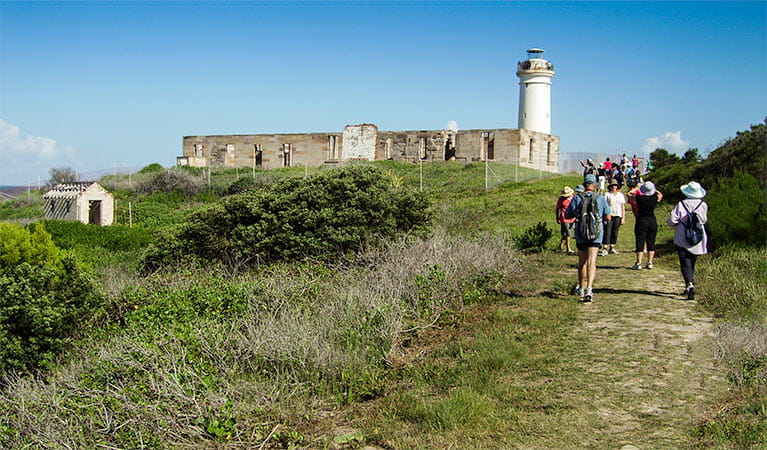 Fingal Island and Point Stephens lighthouse walk, Tomaree National Park. Photo:OEH/NSW Government