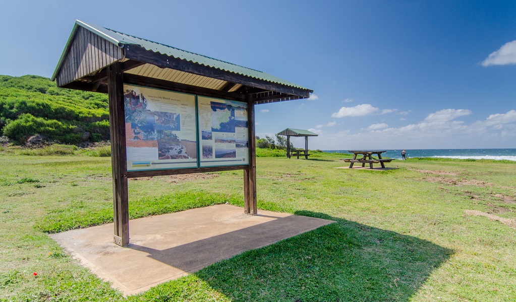 View out towards Birubi Beach from Iris Moore lookout and picnic area, Tomaree National Park. Photo: John Spencer &copy; DPE