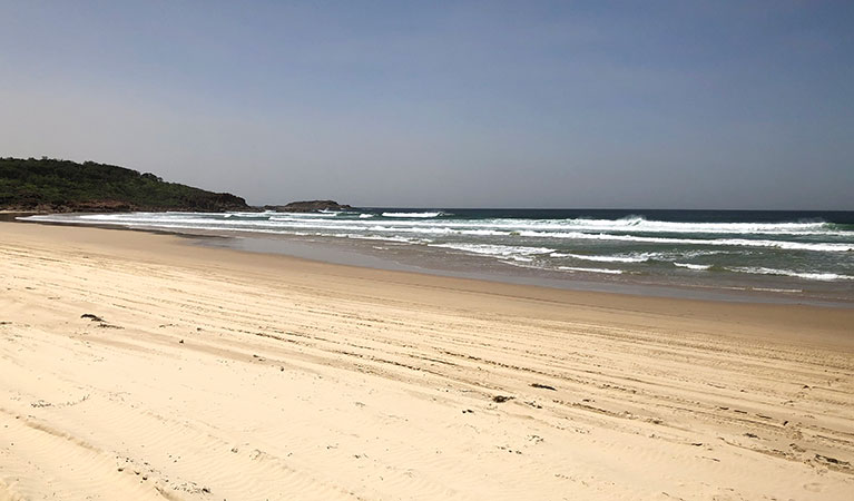 View of the Samurai Beach shoreline with a rocky headland in the distance. Photo: Jim Cutler &copy; DPIE