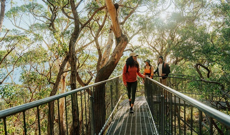 Walkers on a steel boardwalk ascending Tomeree Head Summit. Credit: Remy Brand &copy; Remy Brand