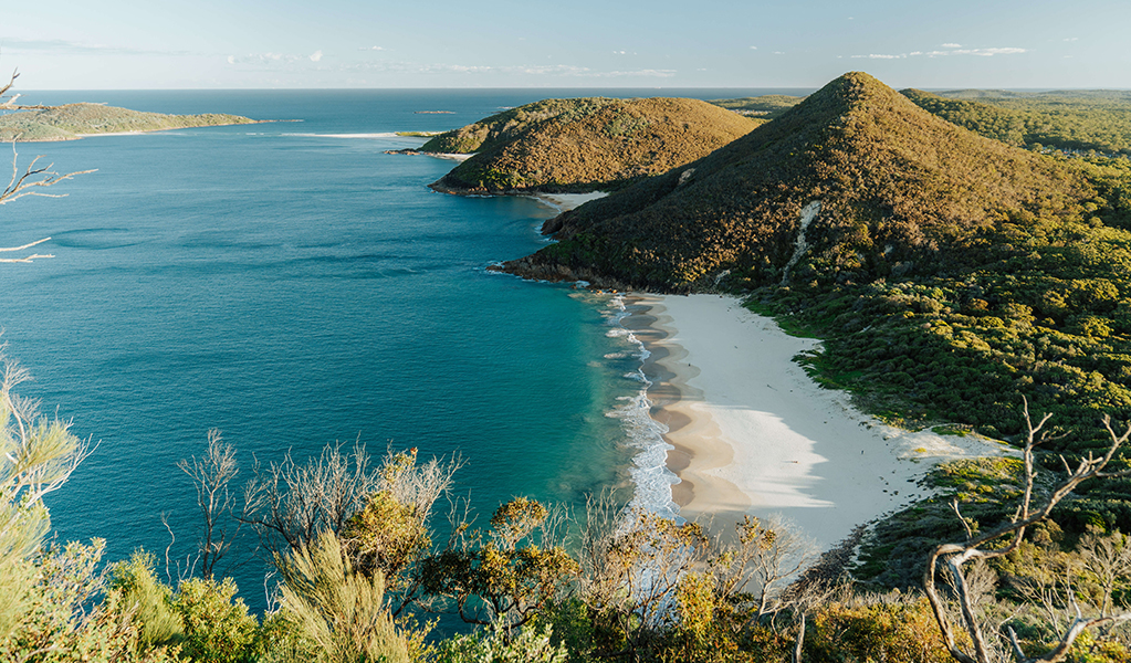 Views over Zenith Beach and coastal islands from the lookout at Tomeree Head Summit. Credit: Remy Brand © Remy Brand