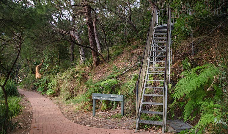 Tomaree Head summit walk. Photo: John Spencer