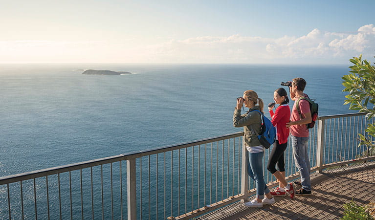Lookout at top of Tomaree Head, Tomaree National Park. Photo: J Spencer/OEH