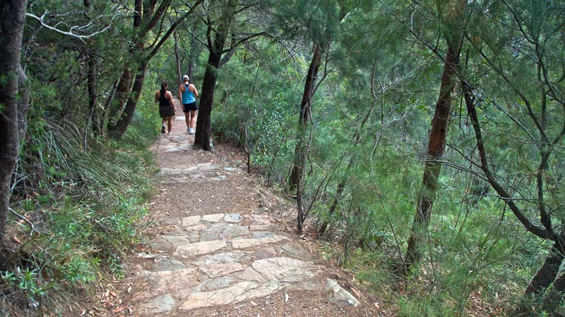 Tomaree Head walking track, Tomaree National Park. Photo: John Spencer/OEH