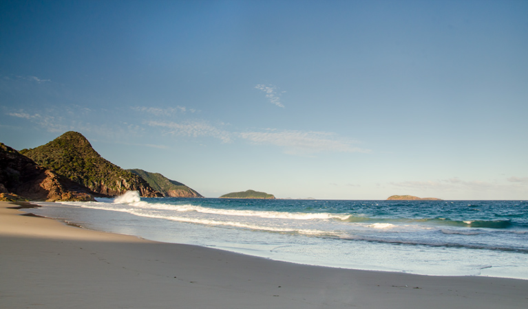 Wreck Beach walk, Tomaree National Park. Photo: John Spencer/OEH