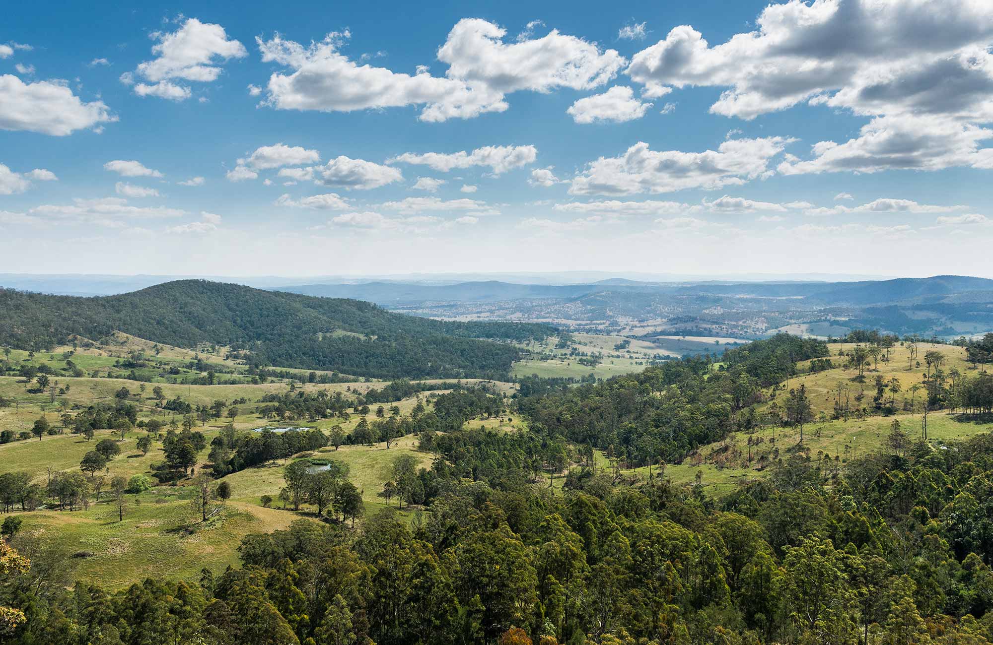 Tooloom lookout, Tooloom Nature reserve. Photo: David Young