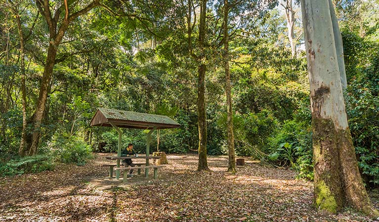 Tooloom picnic area, Tooloom Nature reserve. Photo: John Spencer &copy; DPIE