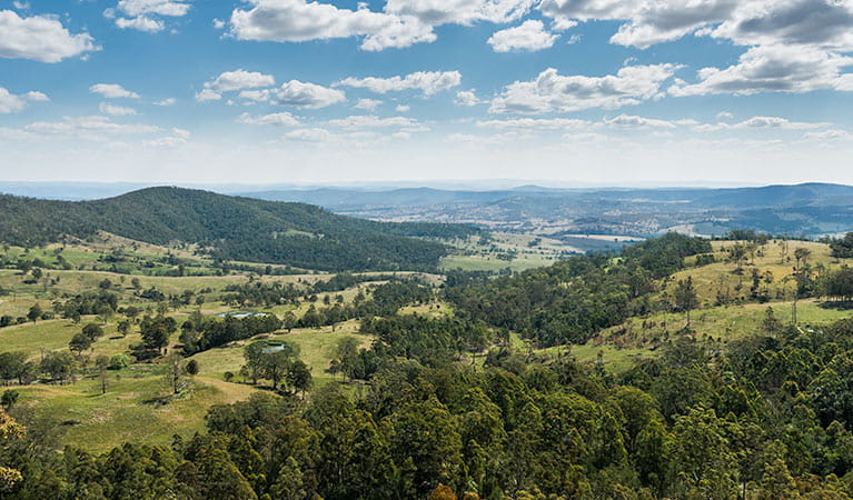 Tooloom lookout, Tooloom Nature reserve. Photo: John Spencer &copy; DPIE
