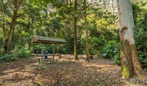 Tooloom picnic area, Tooloom Nature reserve. Photo: John Spencer &copy; OEH