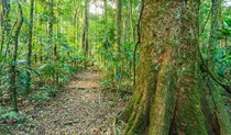 Tooloom walking track, Tooloom Nature reserve. Photo: John Spencer &copy; OEH