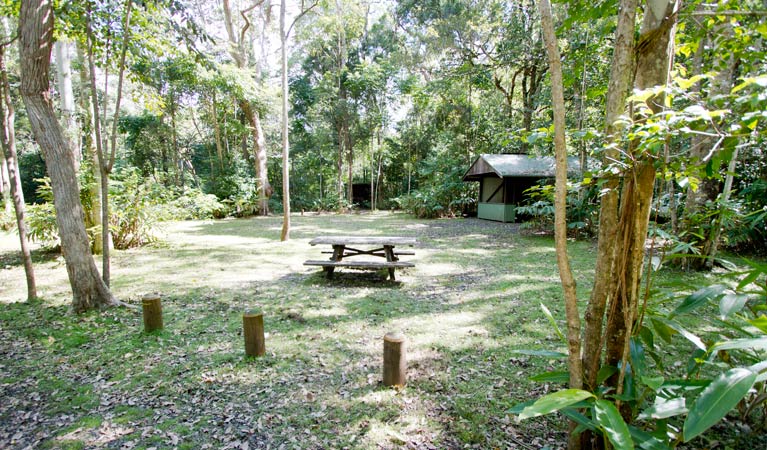 Ironpot Campground, Toonumbar National Park. Photo: Robert Ashdown