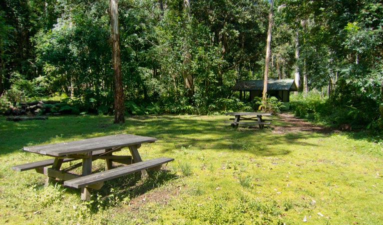 Ironpot Creek Campground, Toonumbar National Park. Photo: Robert Ashdown