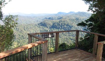 Murray Scrub lookout, Toonumbar National Park. Photo: J Atkins/NSW Government